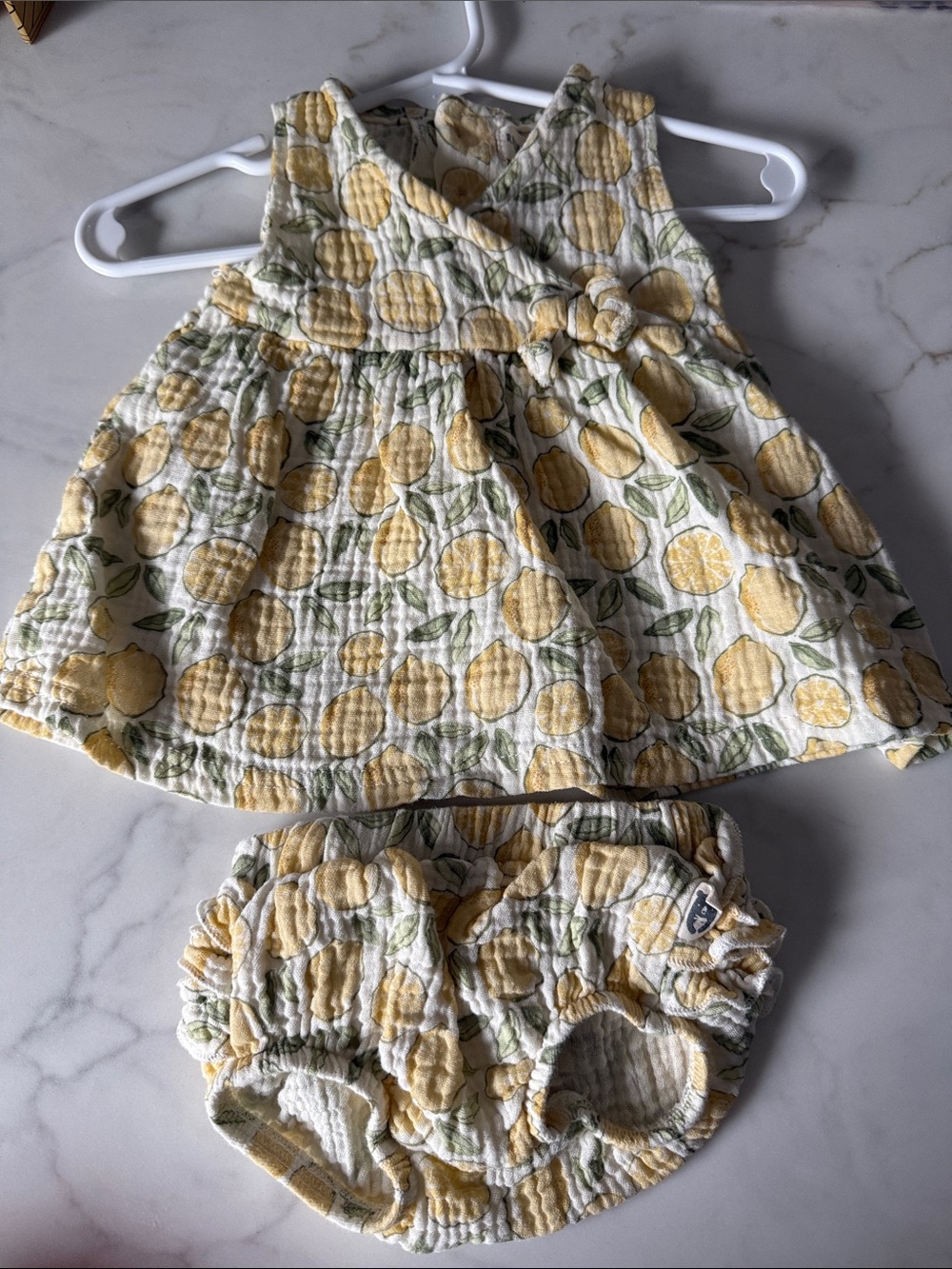 Rabbit bear organic 2pc set lemons nwot